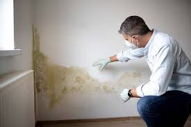 Best Mold Remediation for Healthcare Facilities  in Lake Crystal, MN